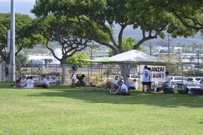 DSC_2070-ZF-0122-38897-1-001-004