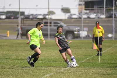 DSC_2275-ZF-0122-38897-1-001-080