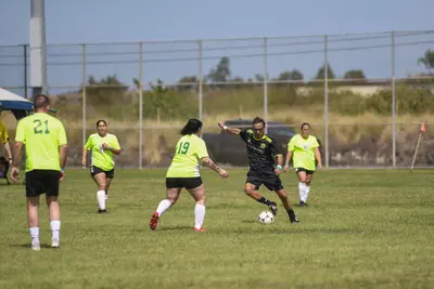 DSC_2333-ZF-0122-38897-1-001-104