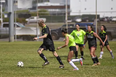 DSC_2488-ZF-0122-38897-1-001-157