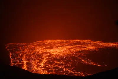 DSC_2991-ZF-0122-38897-1-001-311