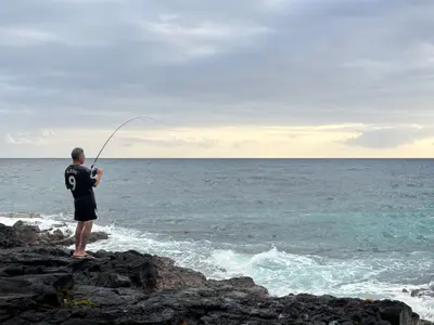 IMG_7191-ZF-0122-38897-1-001-328