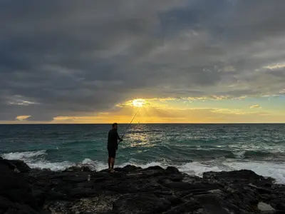 IMG_7203-ZF-0122-38897-1-001-334