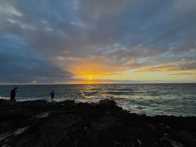 IMG_7218-ZF-0122-38897-1-001-335