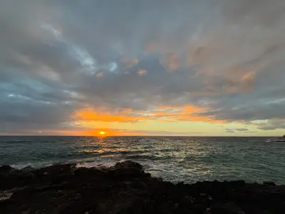 IMG_7222-ZF-0122-38897-1-001-337