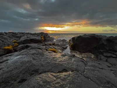 IMG_7224-ZF-0122-38897-1-001-342